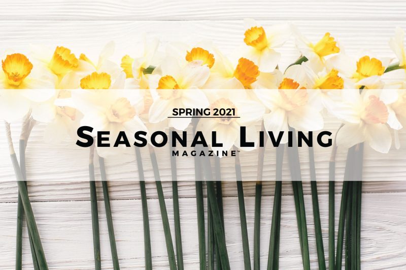 seasonal living magazine spring 2021